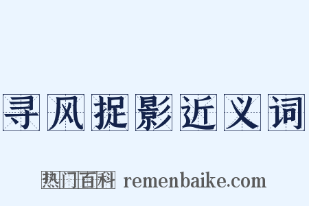 寻风捉影近义词是什么意思的图片